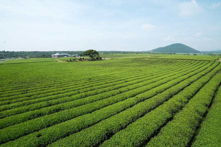 Itinerary Image 3