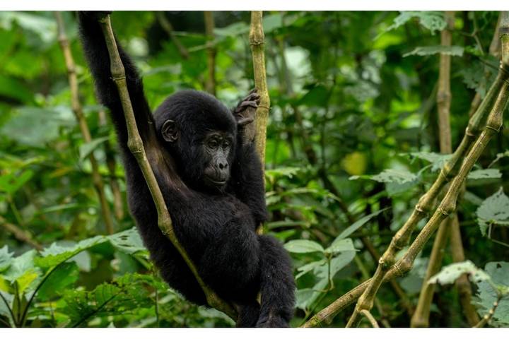 10 Days The Very Best Of Uganda