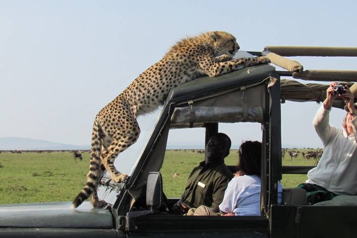 Itinerary Image 1