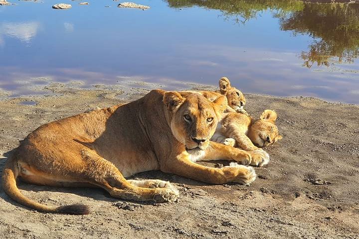 Itinerary Image 1