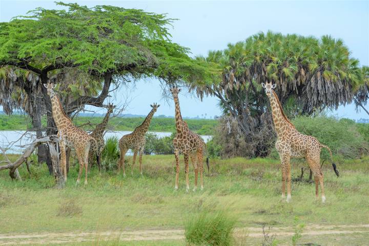 Itinerary Image 2