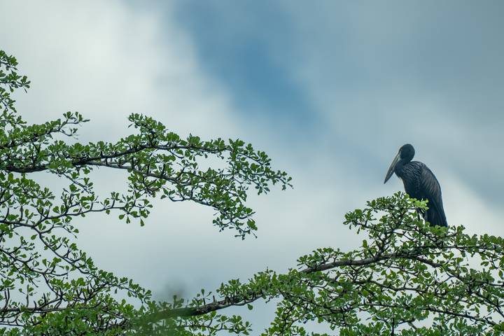 Itinerary Image 2