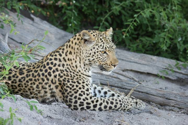 Itinerary Image 1