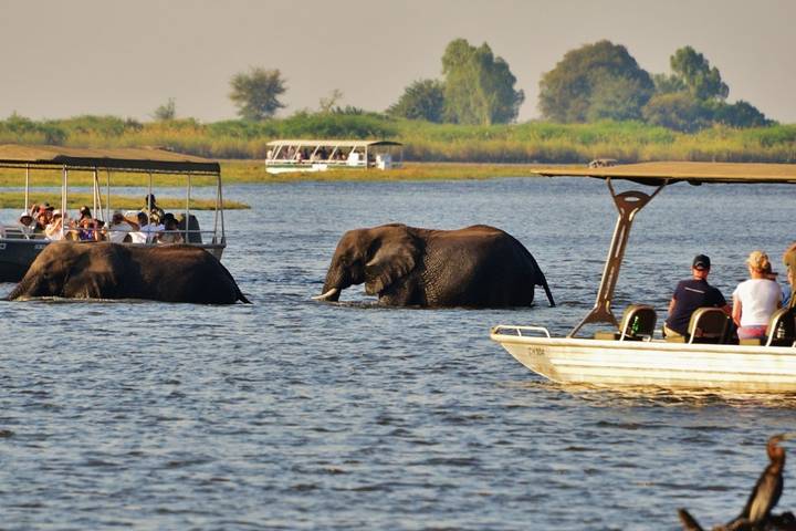 Wilderness of Southern Africa: Safari by Land & Water  (Johannesburg to Victoria Falls) (2025)