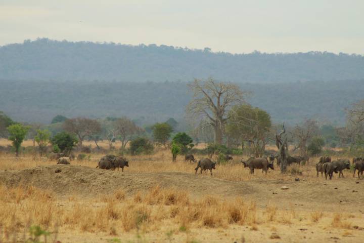 Itinerary Image 3