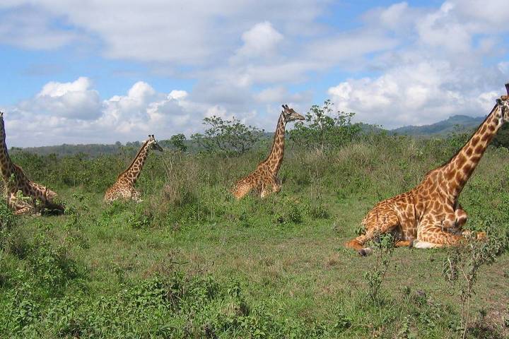 Itinerary Image 1