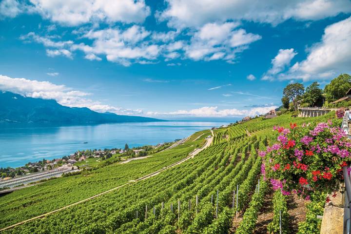 Itinerary Image 2