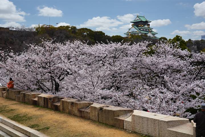 Itinerary Image 2