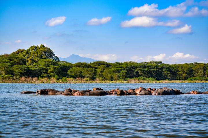 The Plains of Africa Kenya Wildlife Safari (Nairobi to Amboseli) (2025)