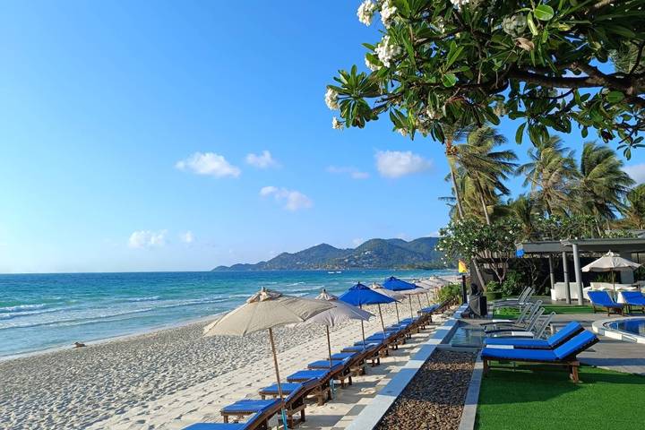 Best day Tours and Trips from Bangkok TourRadar