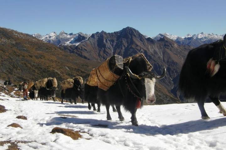 Itinerary Image 1