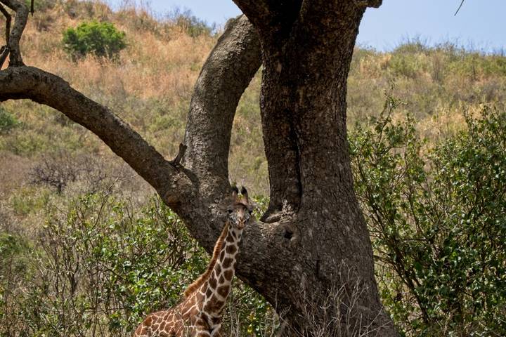 Itinerary Image 2