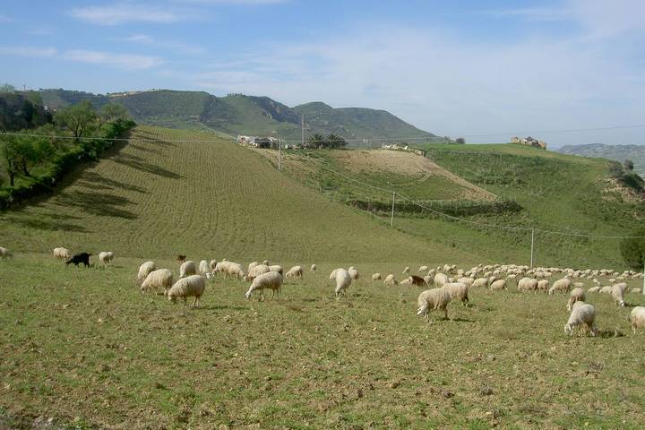 Itinerary Image 3