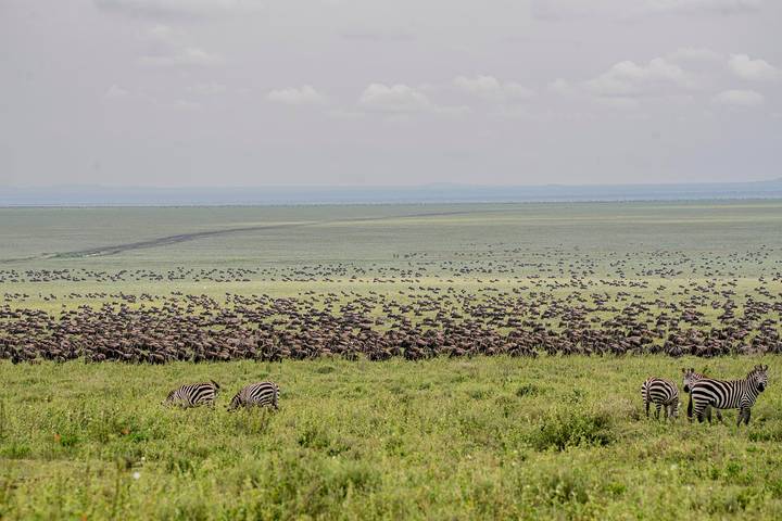 Itinerary Image 3