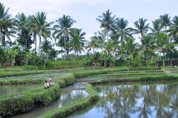 Itinerary Image 3