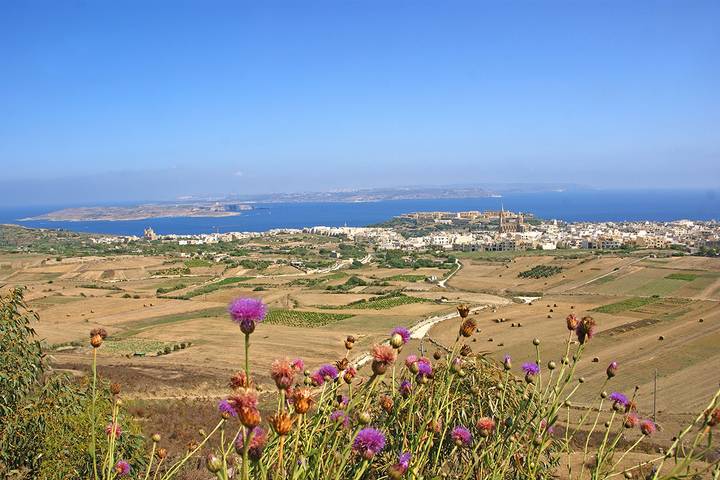 Itinerary Image 1