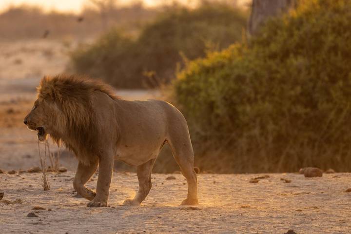 Itinerary Image 2