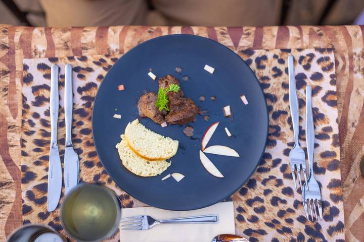 The mother of all safaris Botswana in the style of Hemingway