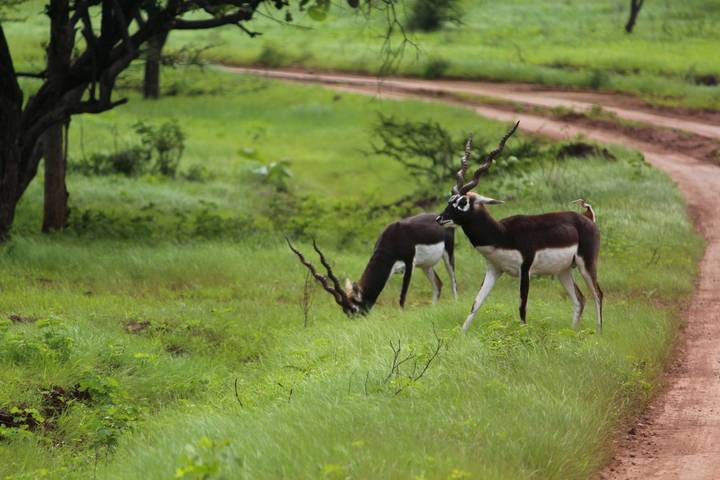 Itinerary Image 3