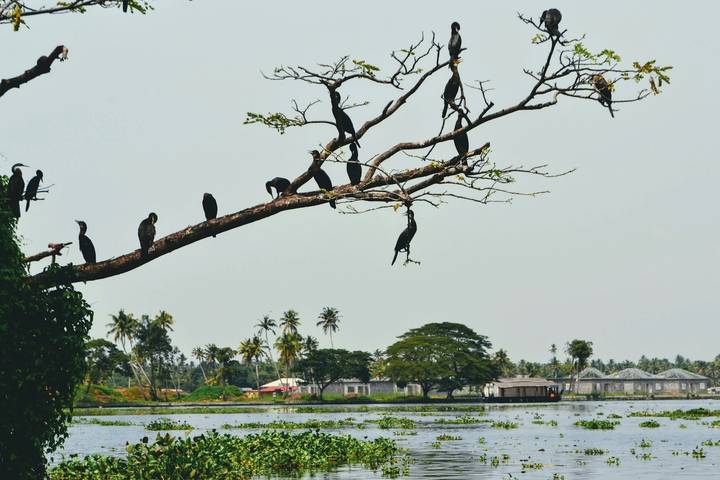 Itinerary Image 2