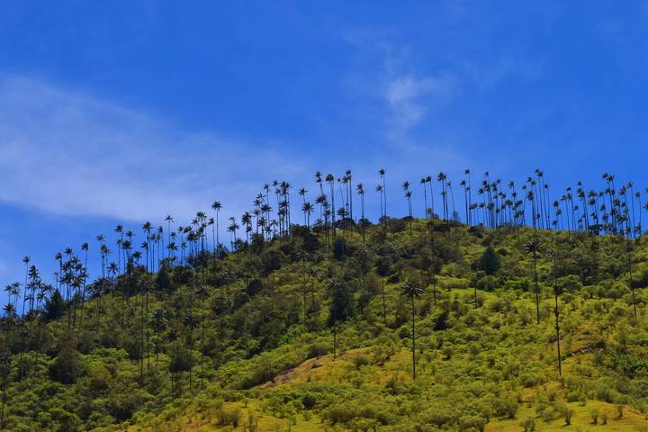Itinerary Image 3