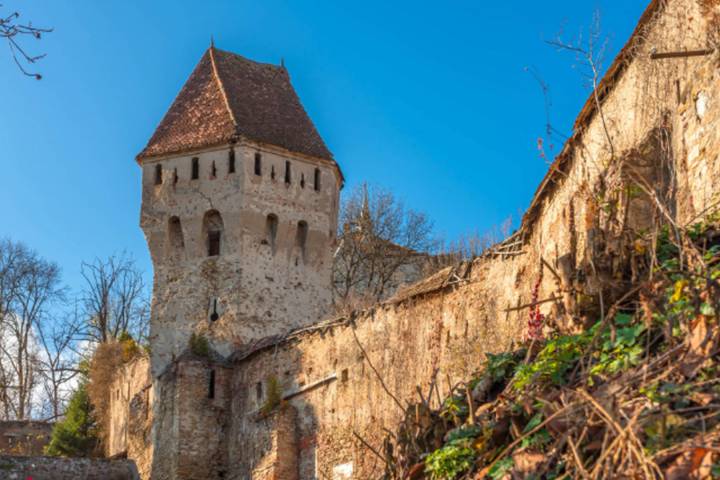 Itinerary Image 2
