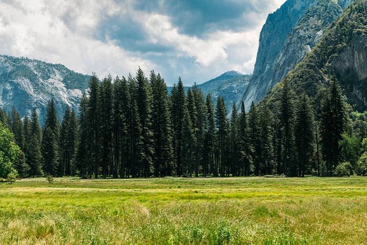 10 Best Yosemite National Park Tours in October 2026 TourRadar