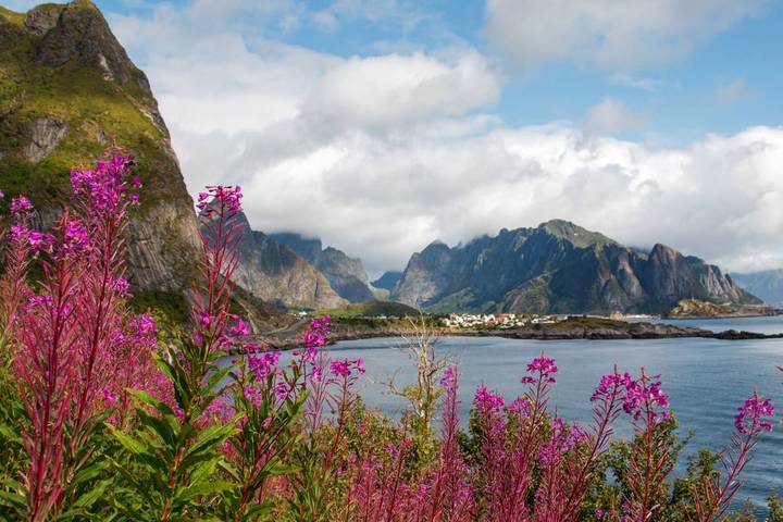 10 Best Lofoten Islands Tours for Singles Solo Travelers TourRadar