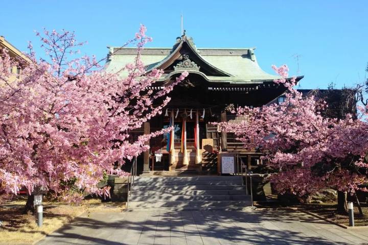 Itinerary Image 2