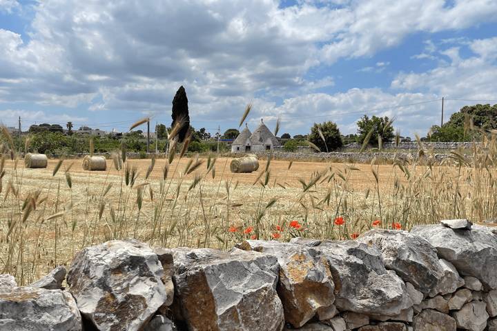 Itinerary Image 2