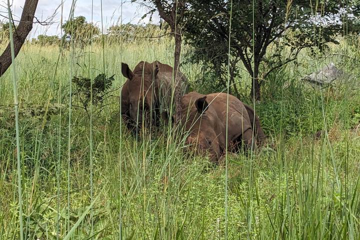 Safari Experience In Lusaka National Park - Half-Day