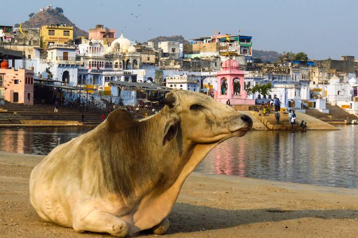 Itinerary Image 2