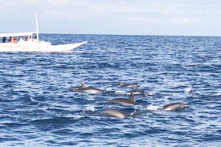 Itinerary Image 3