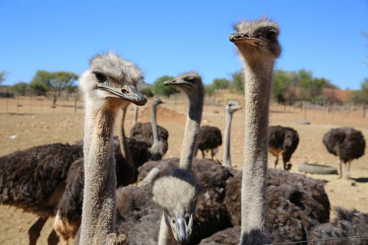 Itinerary Image 3