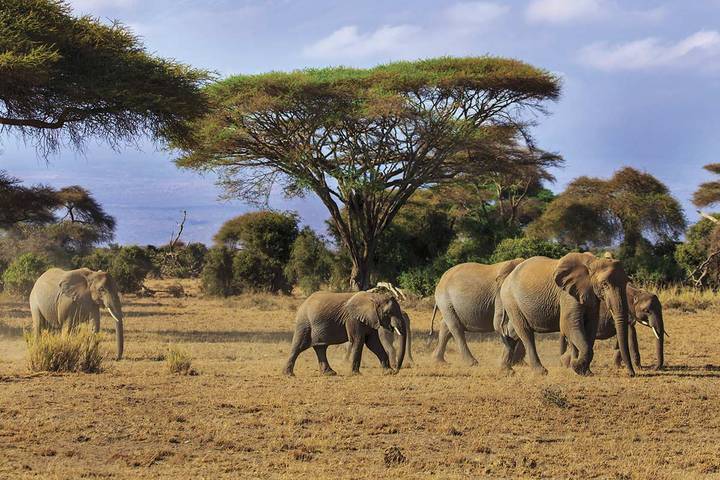 East African Adventure 2025-2026