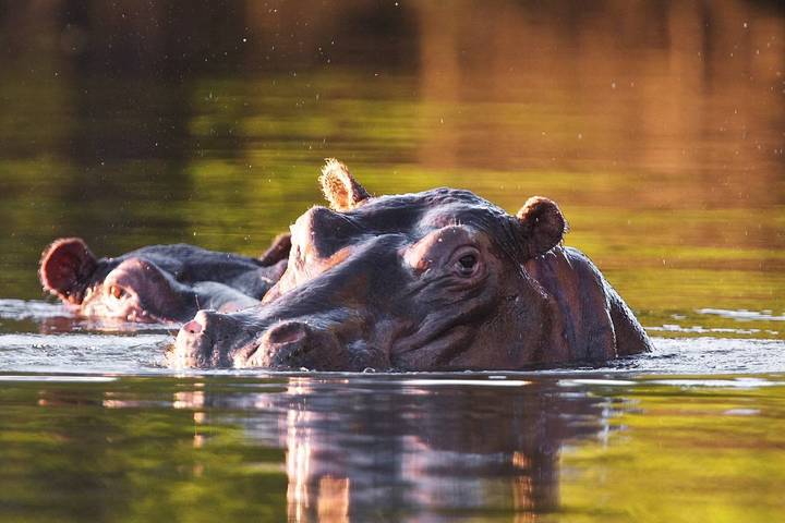 Luxury Northern Zambia Waterfalls & Wilderness Journey13-Day