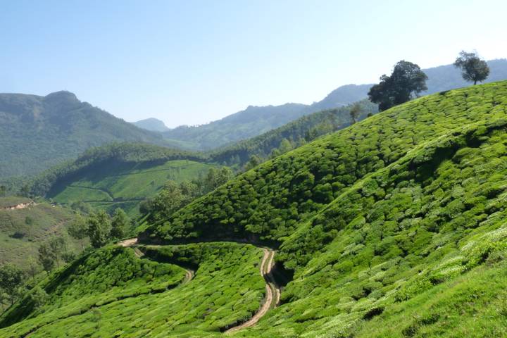 Itinerary Image 2