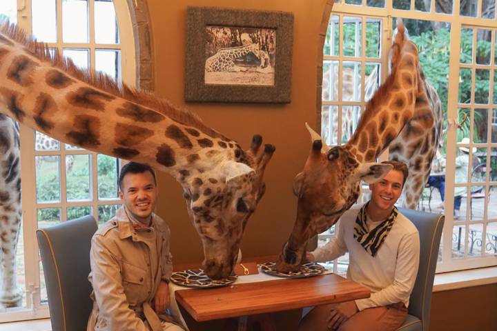 Platinum Signature Safari