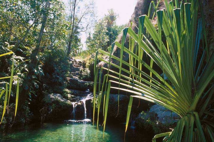 Madagascar - Lemurs and the sea