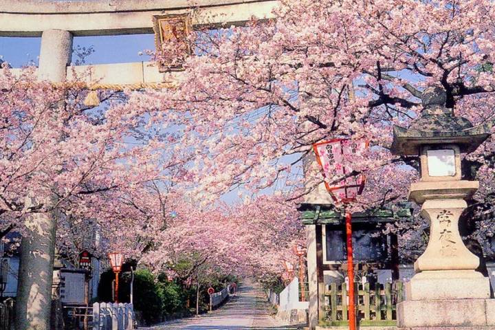 Itinerary Image 2