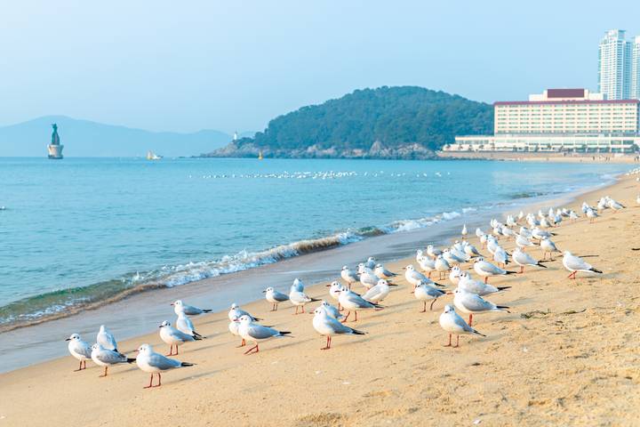 Itinerary Image 2