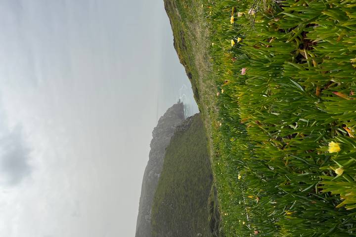 Itinerary Image 2