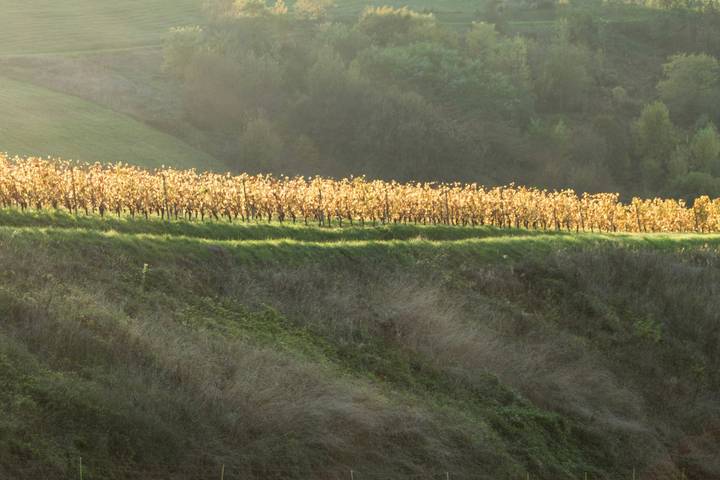 Itinerary Image 3