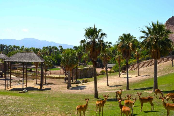 Itinerary Image 3