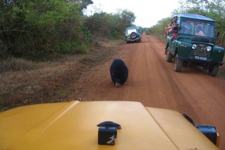 Itinerary Image 1