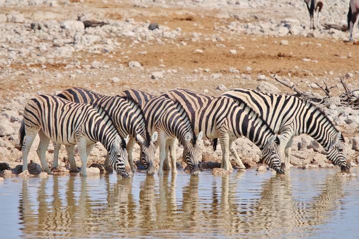 Premium Botswana & Namibia (14 destinations)