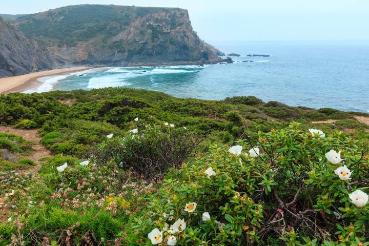Itinerary Image 2