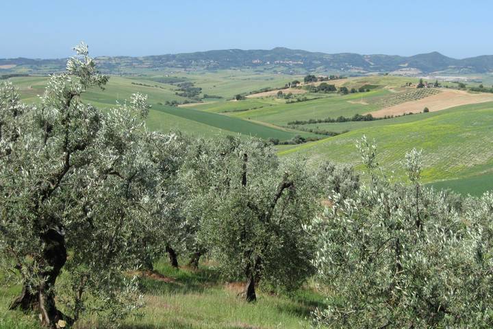 Itinerary Image 2