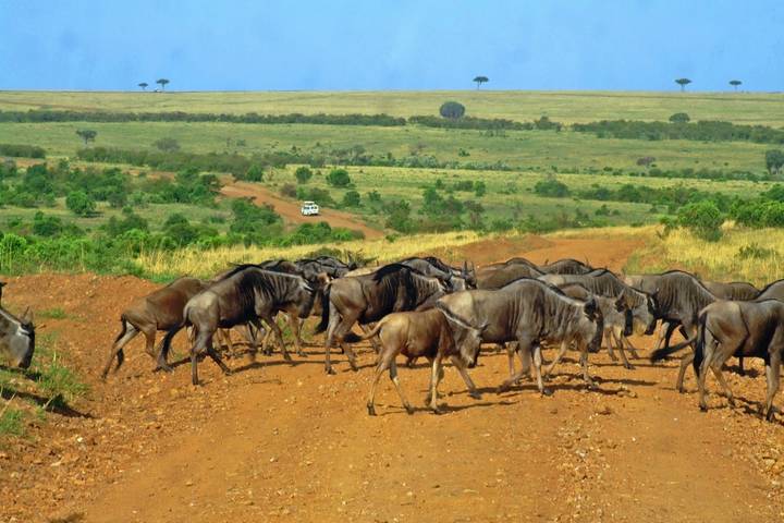Itinerary Image 3