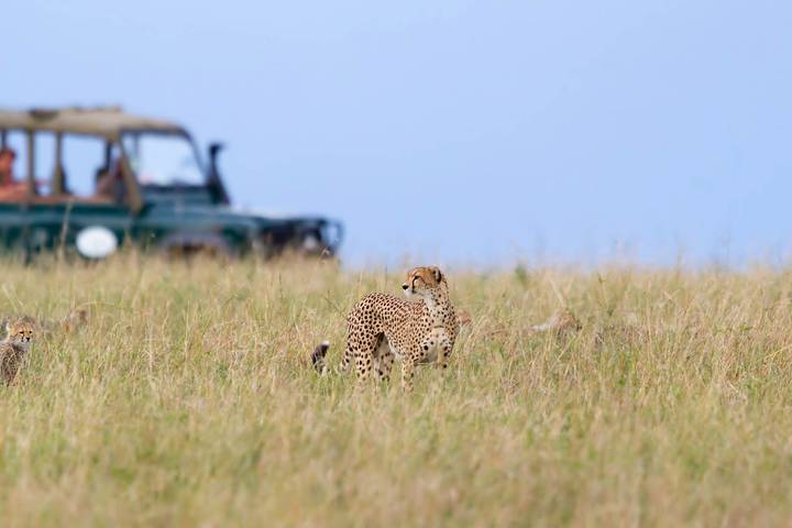 Itinerary Image 3